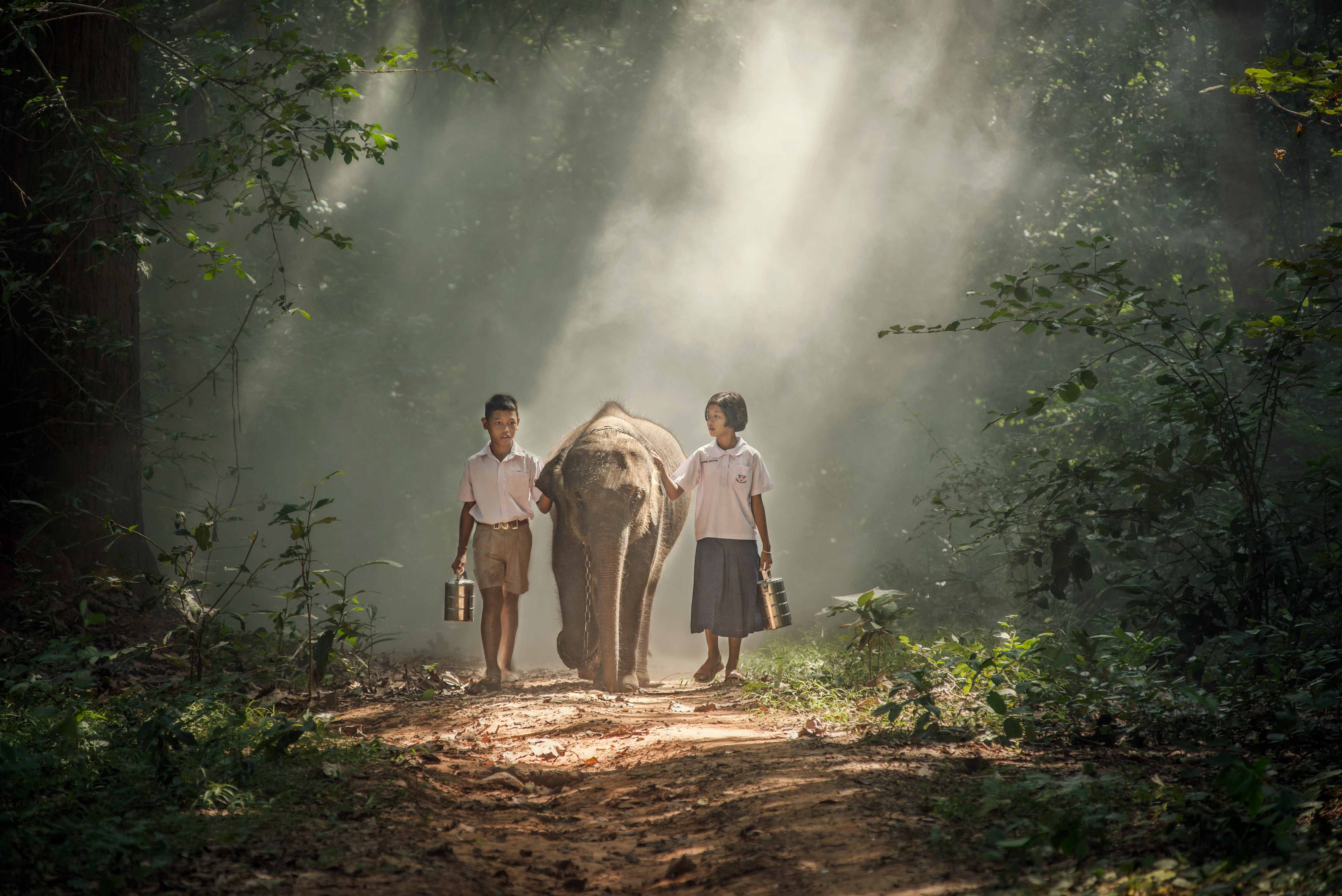 Семь: Философский взгляд на грехи